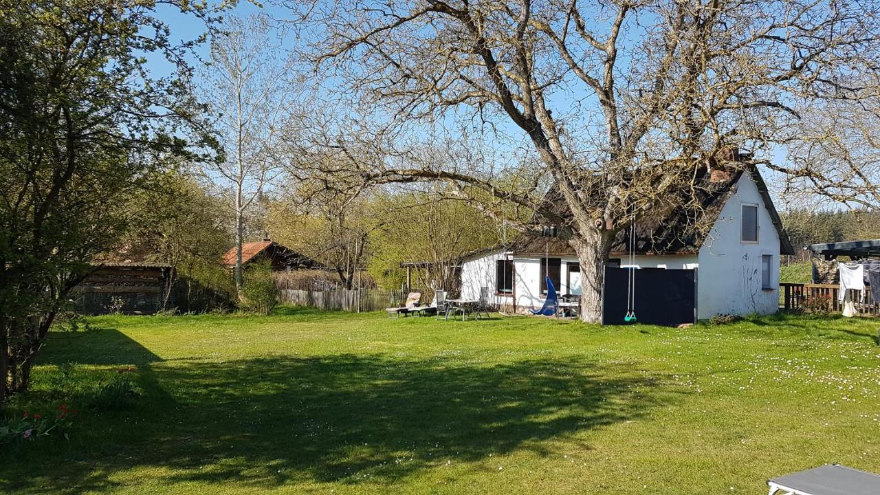 Ferienhaus Kunterbunt II Hitzacker Εξωτερικό φωτογραφία